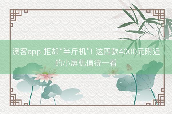 澳客app 拒却“半斤机”! 这四款4000元附近的小屏机值得一看